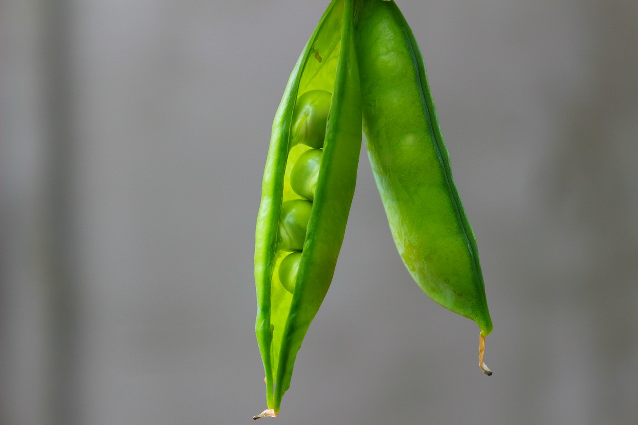 10 Delicious Ways to Use Fresh Peas in Cooking